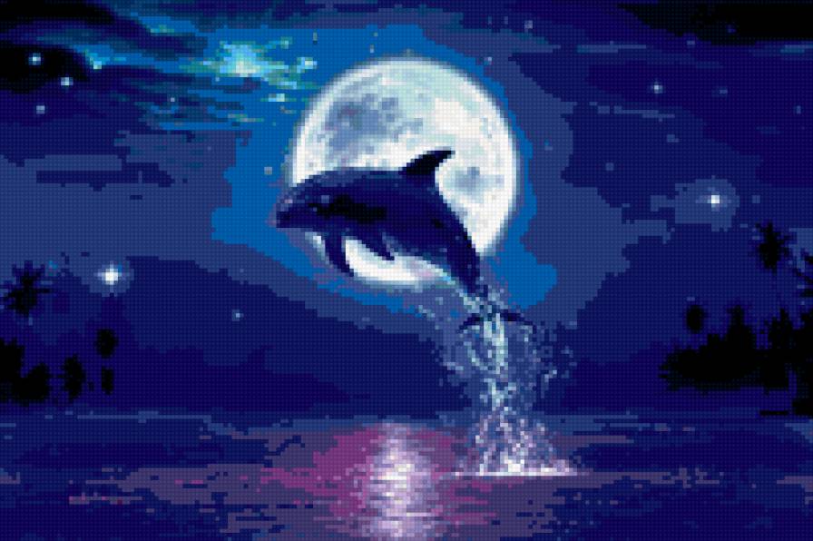 дельфин при луне - луна, дельфин, природа, море - предпросмотр