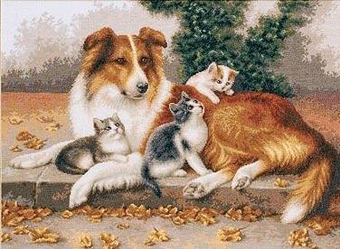 собака и котята - забавные животные - оригинал