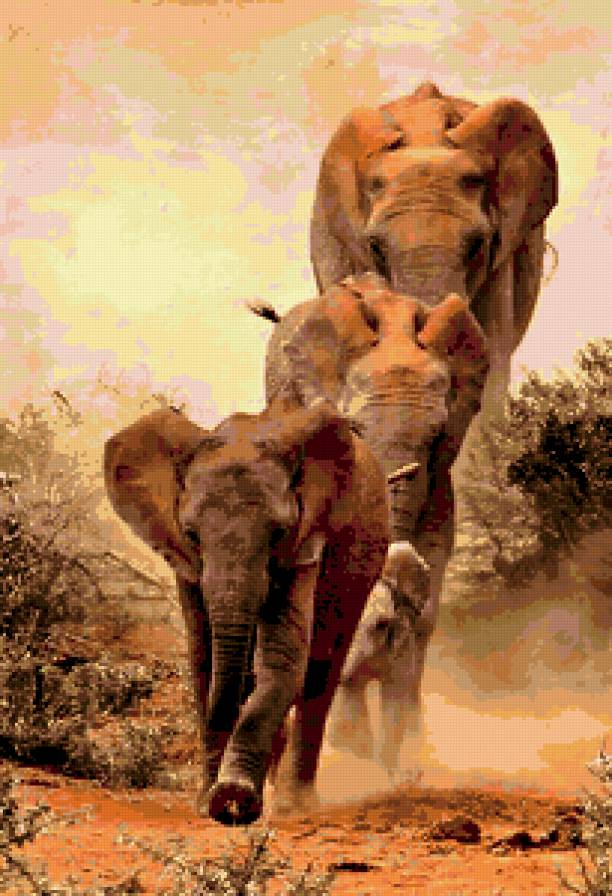 слоны - слоны, животное, сафари - предпросмотр
