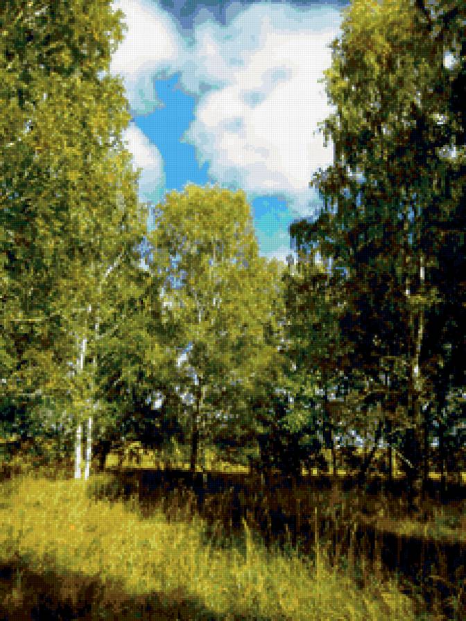 №350621 - деревья, природа, лето, пейзаж - предпросмотр