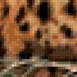 Предпросмотр схемы вышивки «леопард» (№350761)