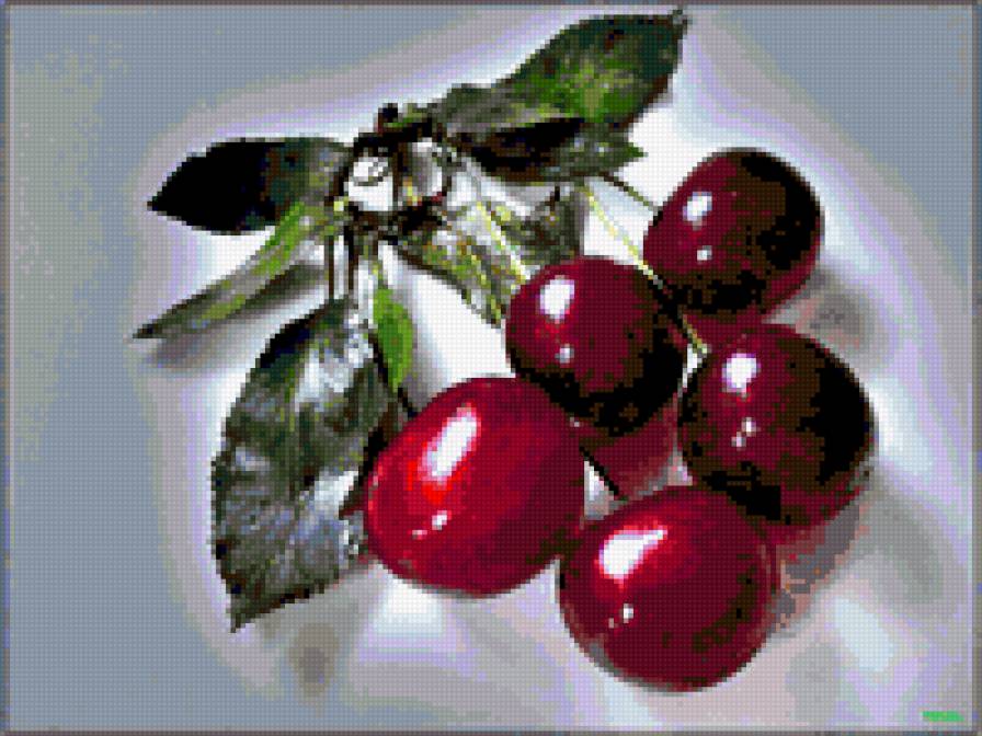 №351307 - вишня, ягоды - предпросмотр