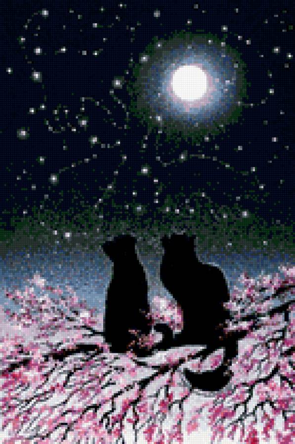 Лунные кошки - небо, луна, кошки, силуэт, ночь - предпросмотр