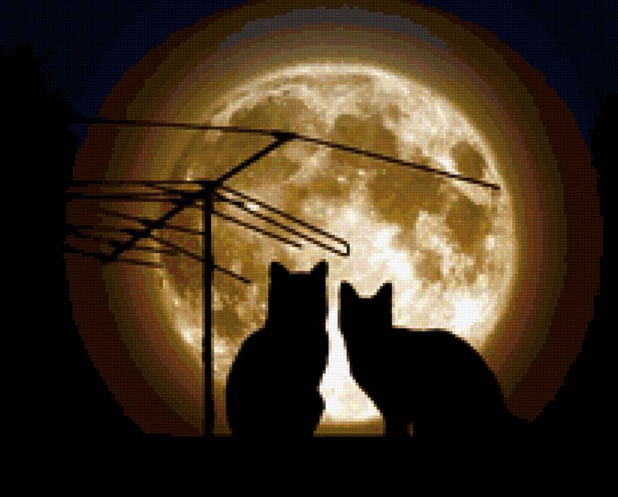 На крыше - ночь, луна, кошки, силуэт - предпросмотр