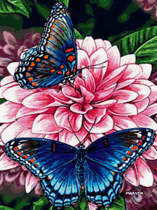 Бабочки - цветок, бабочки - предпросмотр