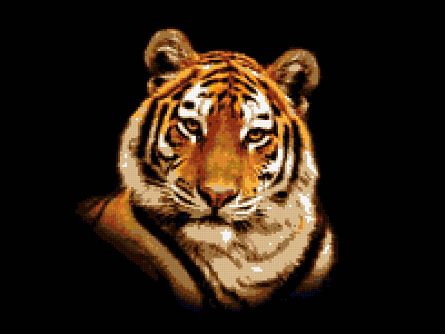Тигр на черном фоне - тигр, вышивка крестом, хищник, дикая природа - предпросмотр