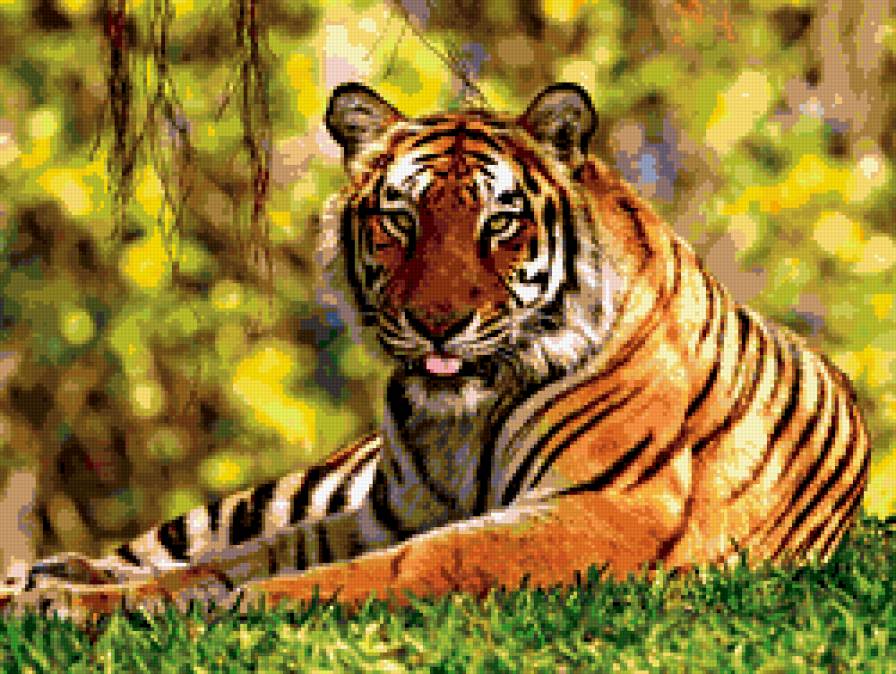Хозяин тайги - дикая природа, хищники, тигр - предпросмотр