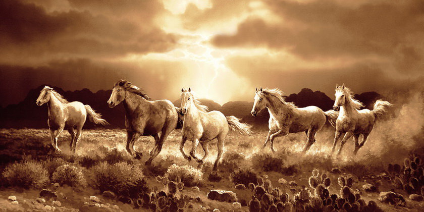 Закат в пустыне. - лошади, закат, пустыня, животные - оригинал