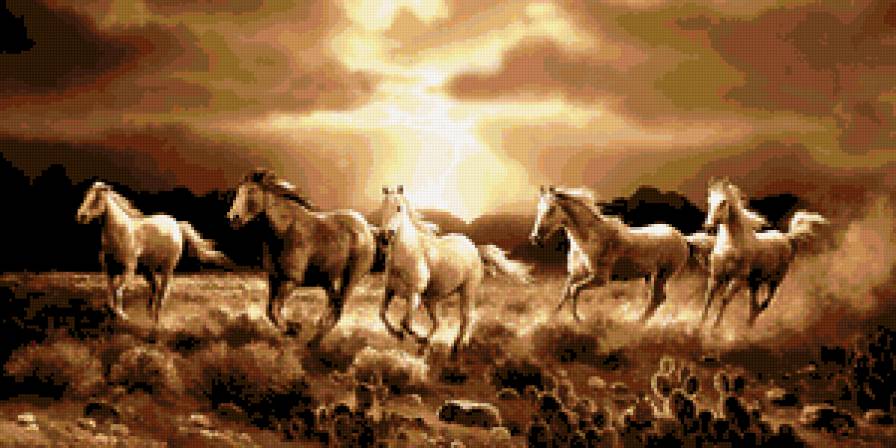 Закат в пустыне. - лошади, закат, пустыня, животные - предпросмотр