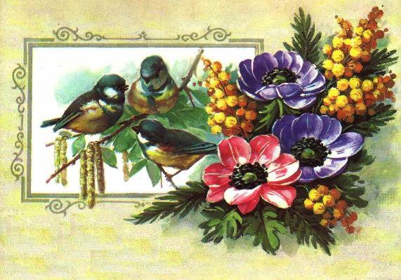 старые открытки - синицы, открытки, ретро, весна, цветы, птицы - оригинал