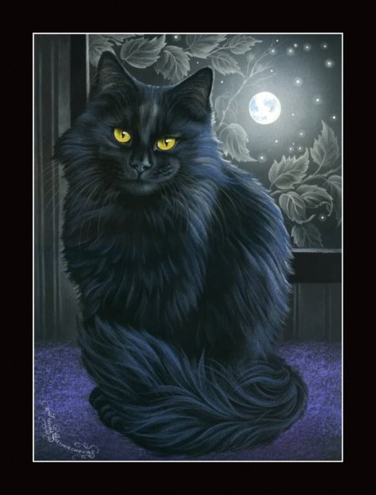 черный кот - животные - оригинал