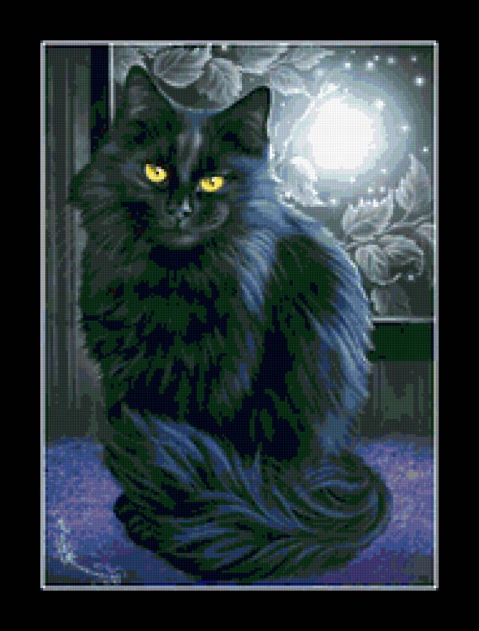 черный кот - животные - предпросмотр
