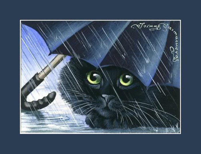 котик под зонтиком - животные - оригинал