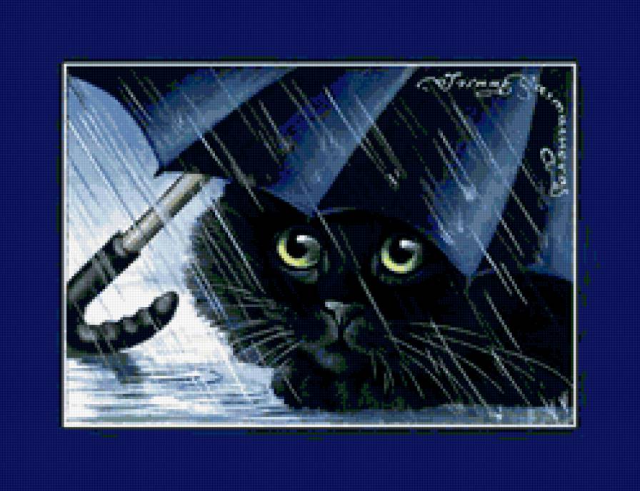 котик под зонтиком - животные - предпросмотр