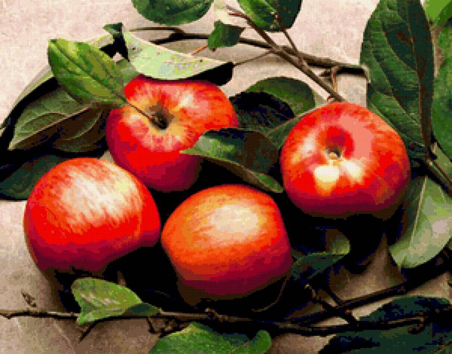 яблочки - фрукты - предпросмотр