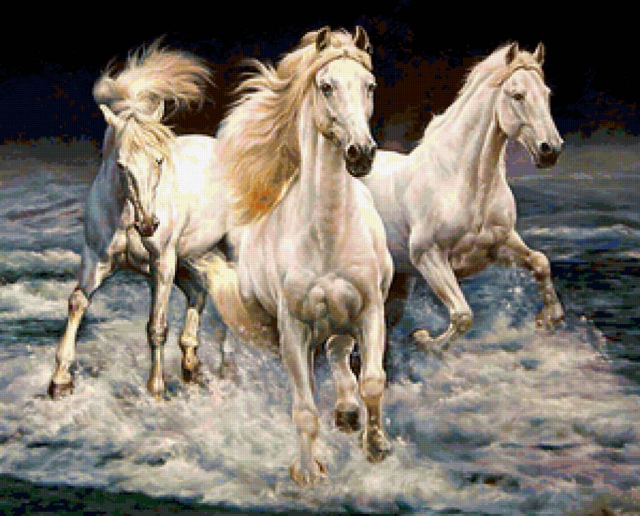 Три белых коня - животные, море, брызги, лошади, волны, кони - предпросмотр