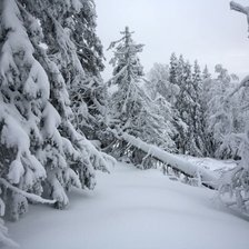 Схема вышивки «зима»