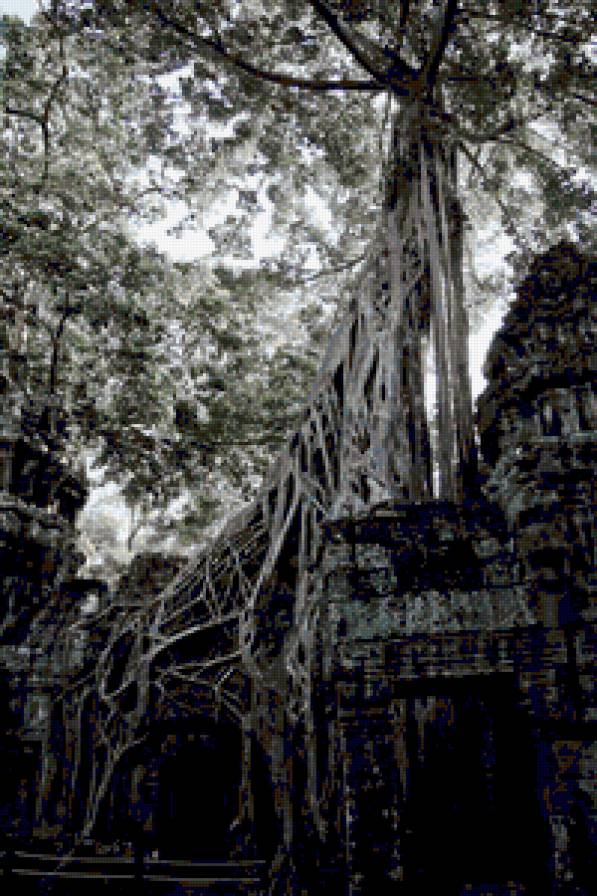 Таинственная Камбоджа - деревья, архитектура - предпросмотр