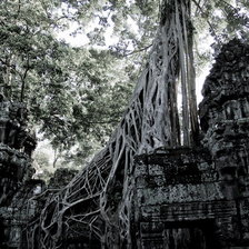 Таинственная Камбоджа