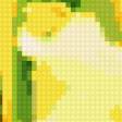 Предпросмотр схемы вышивки «желтый тюльпан» (№356452)