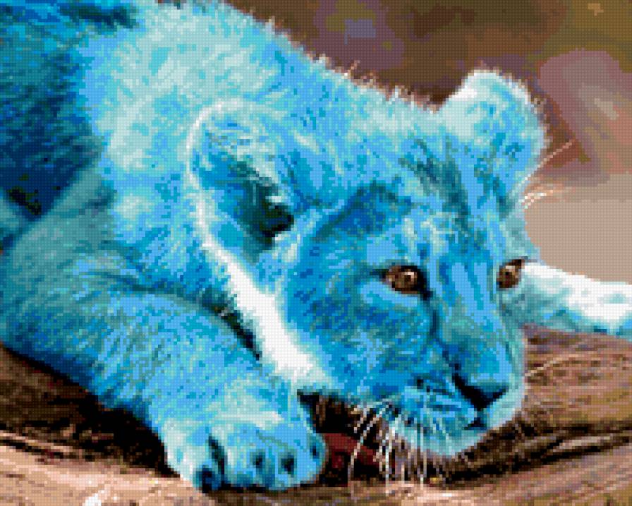 Львенок голубого цвета - львы - предпросмотр