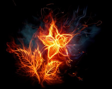 Огненный цветок - цветок, огонь - оригинал