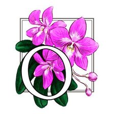 Оригинал схемы вышивки «орхидея» (№356564)