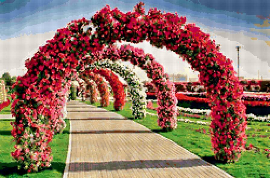 Арки счастья - арка цветы любовь счастье - предпросмотр