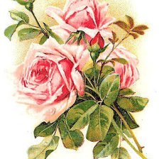 Оригинал схемы вышивки «Розы на светлом фоне» (№356804)