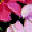 Предпросмотр схемы вышивки «Розовые цветы (по картине Л. Скрипченко)» (№356857)