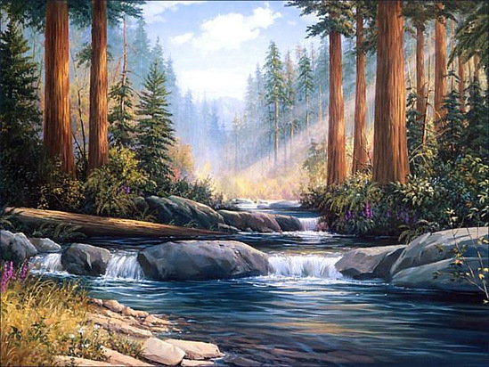 Лесной ручей - сосны, природа, лес, вода - оригинал