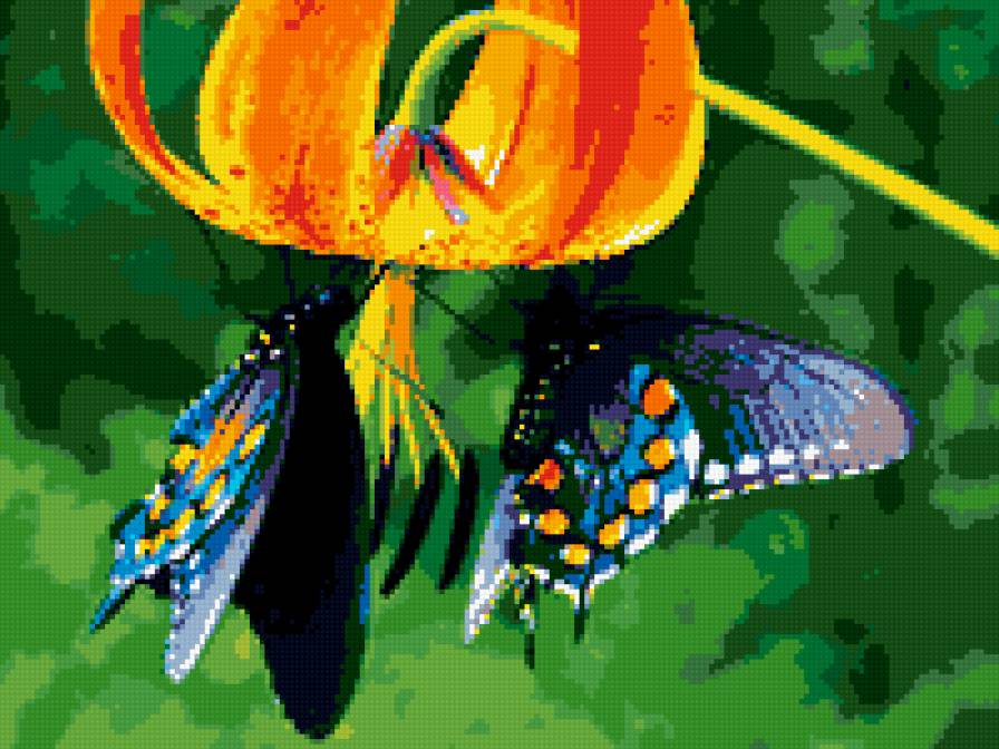бабочка - природа, бабочка, насекомые, цветок, лето, красота - предпросмотр