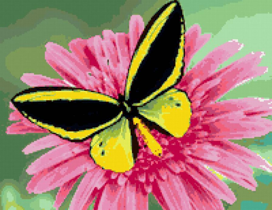 бабочка - бабочка, красота, лето, цветок, насекомые - предпросмотр