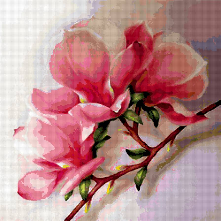 цветы - веточка, красота, магнолии, цветы, розовое - предпросмотр