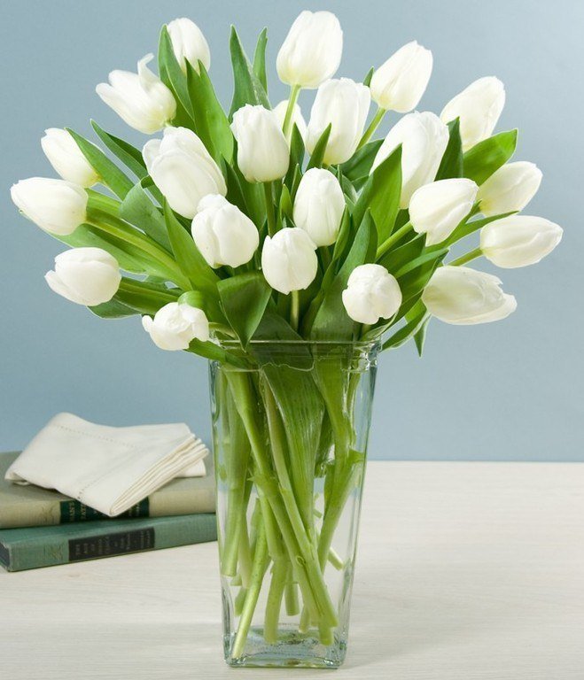 тюльпаны - тюльпаны, красота, цветы, белые, весенние цветы, букет, ваза - оригинал