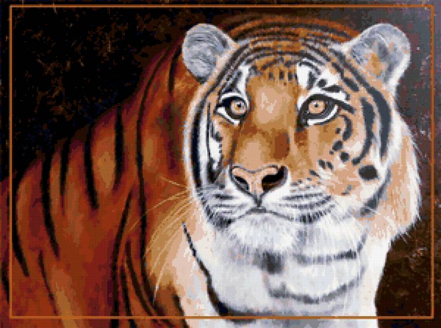 тигр - хищники, животные, тигр, кошки - предпросмотр