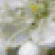 Предпросмотр схемы вышивки «рябина весна» (№360789)