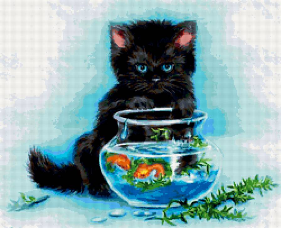 котенок и рыбки - аквариум, кот, рыба - предпросмотр