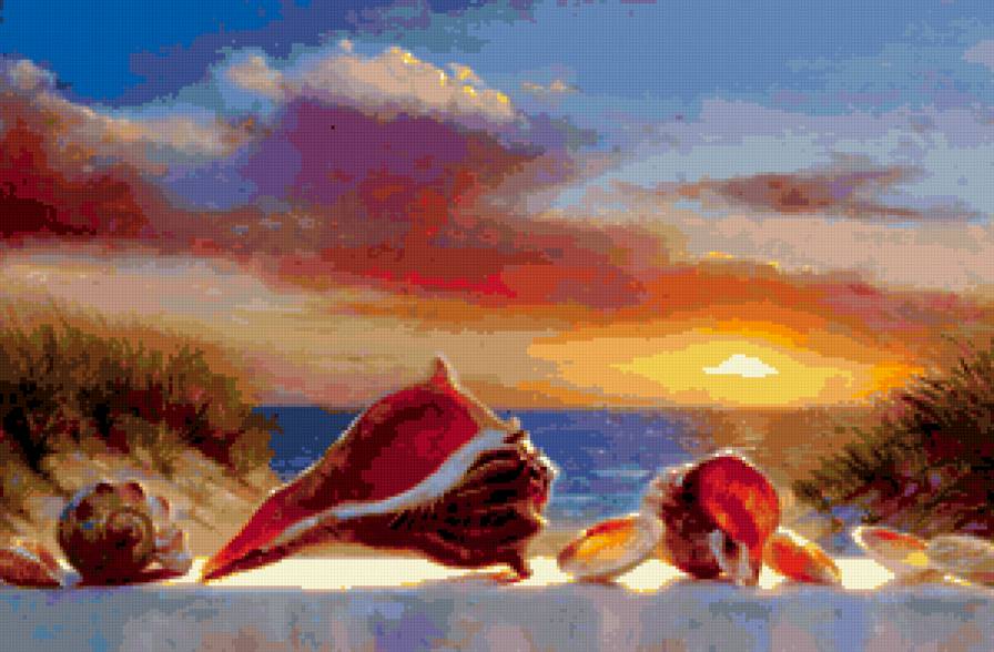 ракушки на море - море, ракушка, закат, пейзаж - предпросмотр