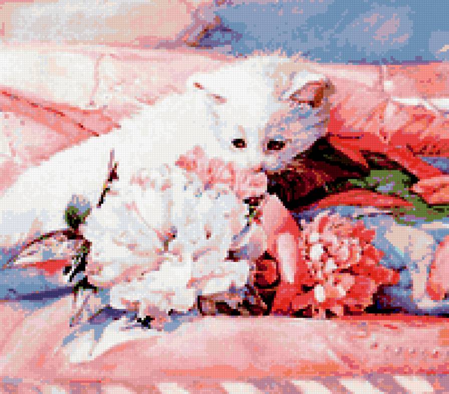 белая кошечка - кошечка, белая, нежность, кошка, ласка, букет, цветы, уют, котенок - предпросмотр