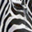 Предпросмотр схемы вышивки «Зебра» (№361192)