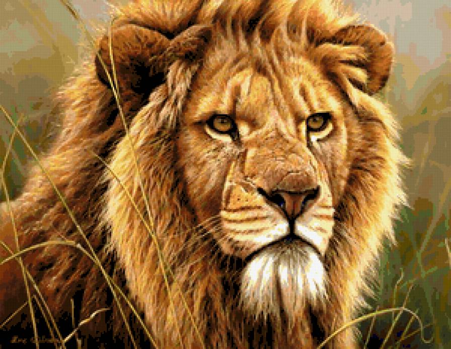 Лев - животные, природа, хищник - предпросмотр