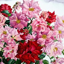 Оригинал схемы вышивки «Натюрморт, цветы, розы» (№361473)