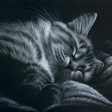 Оригинал схемы вышивки «Портрет, кошка» (№361753)