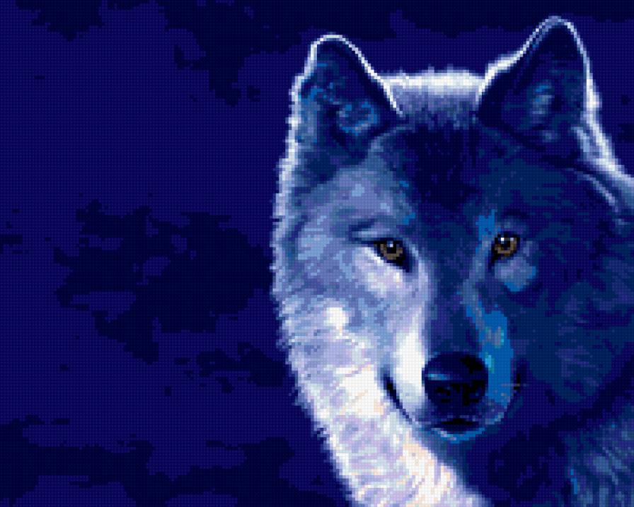 Синий волк - волк, синий - предпросмотр