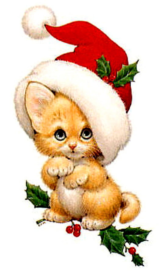 помощник Санты - кот, лапушка, шапка, котенок, милашка, новый год - оригинал