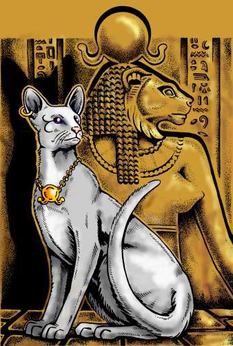сфинкс - кошки, кошка, египет, зверь, сфинкс, хищник - оригинал