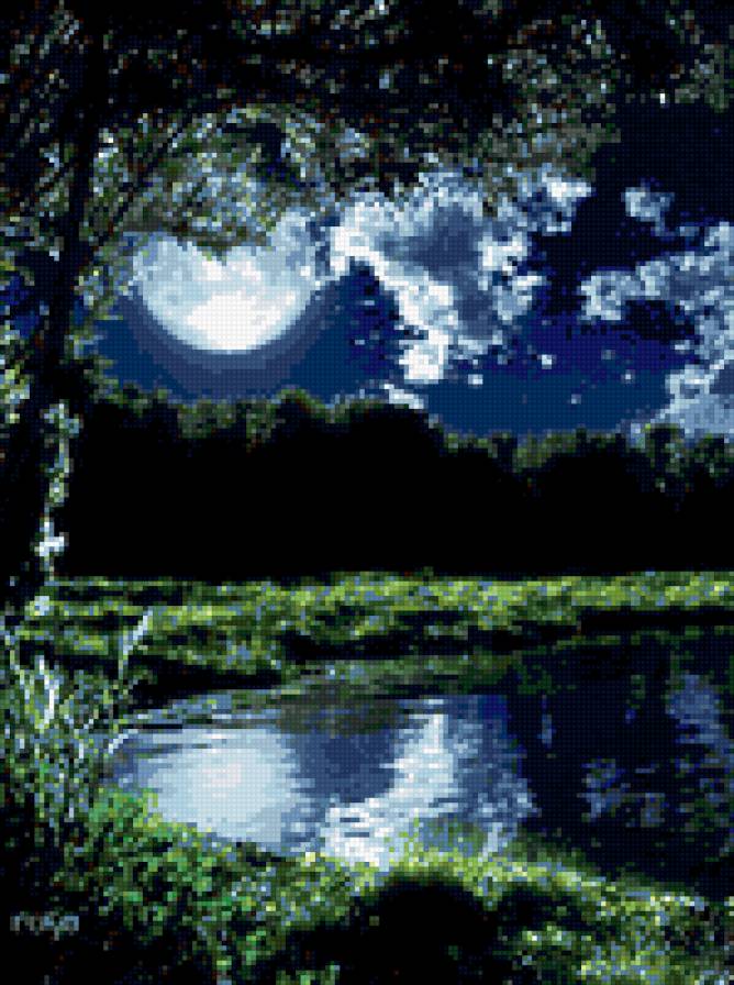 ночь - луна, лес, деревовид, озеро, ночь, природа - предпросмотр
