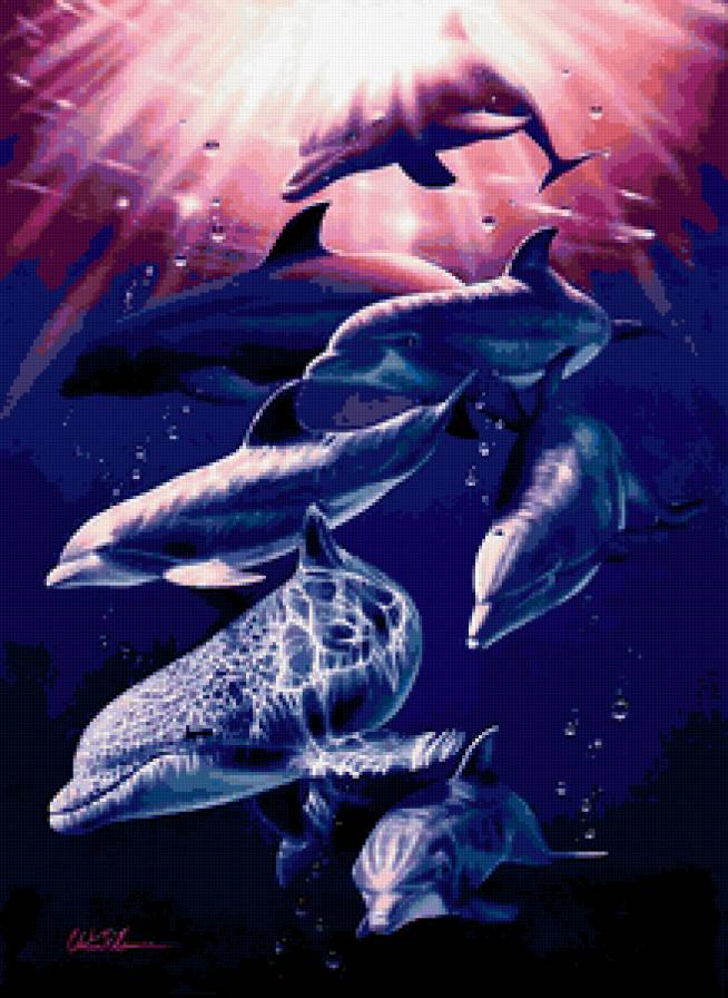 Стая дельфинов - дельфин - предпросмотр