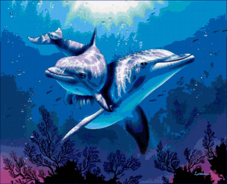 Дельфины - дельфин - предпросмотр